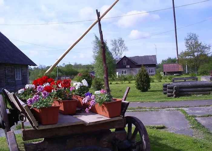 게스트하우스 Kaebi Kuelalistemaja